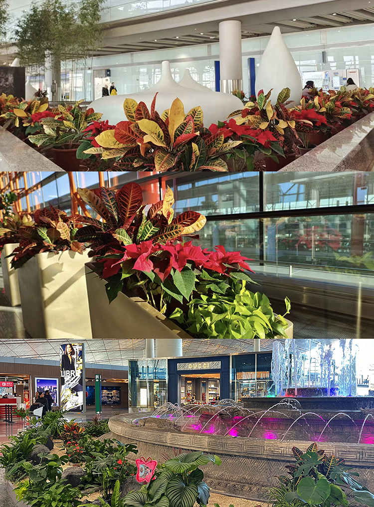 1dff4966aafc4a119deadd96dee49f08.jpg 1dff4966aafc4a119deadd96dee49f08.jpg