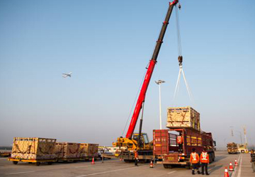 重庆机场完成澳牛进口活畜运输保障任务