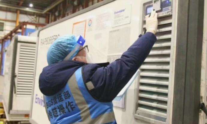 地服公司国际冷链班组：勇担使命 践行初心