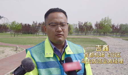 首都机场小黄车系列之鸟击防范