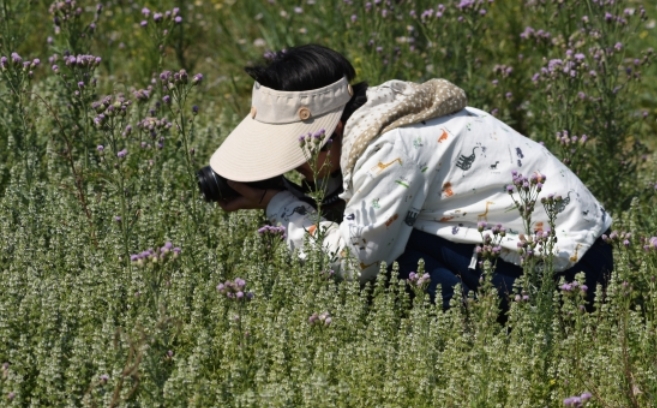 天津滨海机场：生态管控为主　智能技术助力