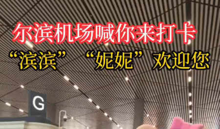 亚冬会吉祥物“滨滨”“妮妮”邀您打卡哈尔滨机场