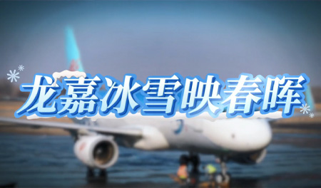 龙嘉冰雪映春晖