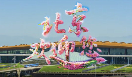 与首都机场共赴春天