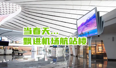 传媒公司：当春天飘进机场航站楼