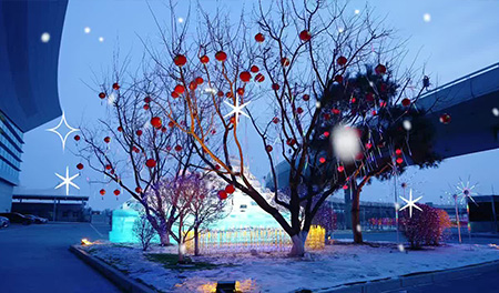 冰雕+梦幻灯光！长春机场把“冰雪王国”搬进空港
